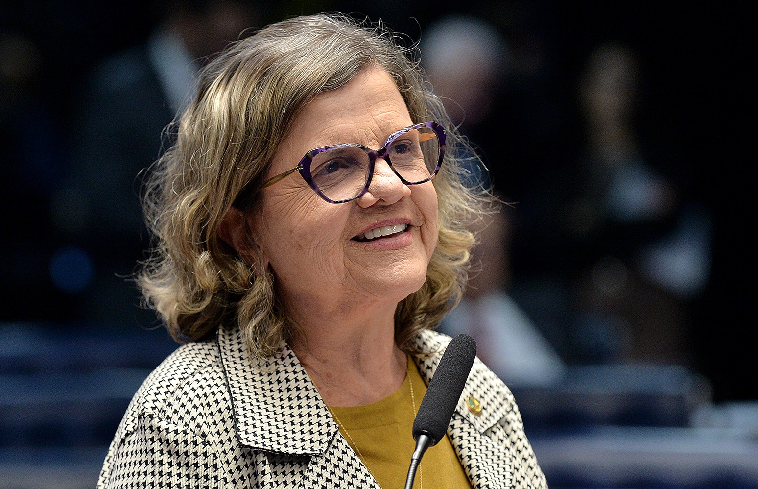 Teresa Leitão tem reunião com Alcolumbre