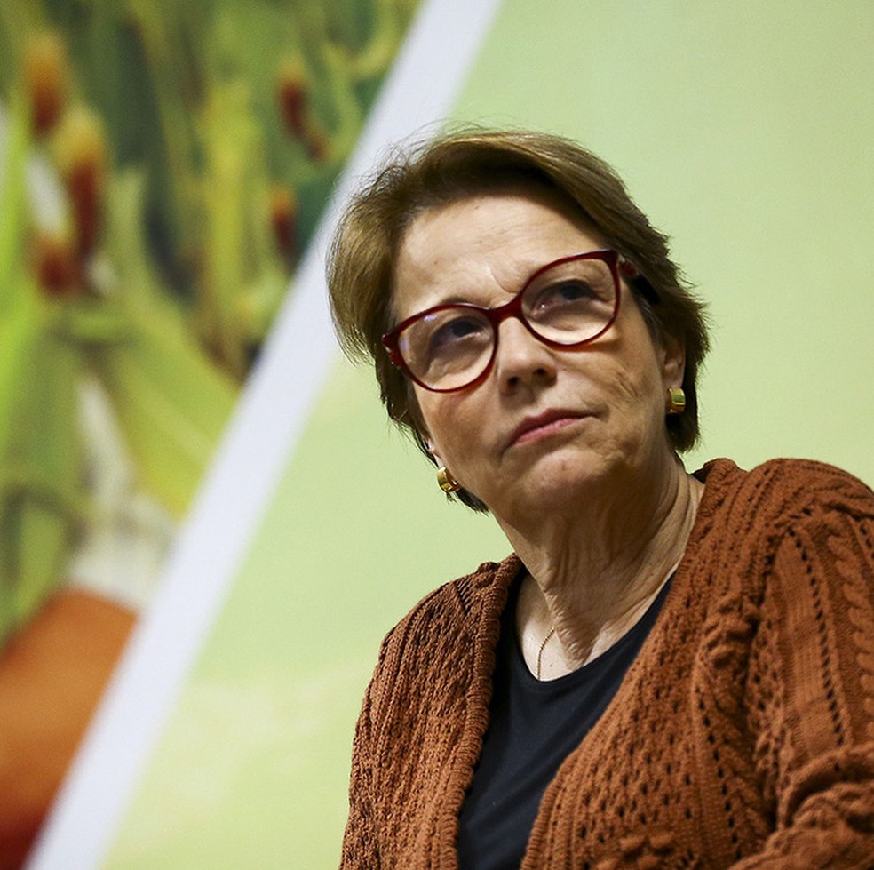 Senator Teresa Cristina, text rapporteur - Photography: Marcelo Camargo/Agence Brasil