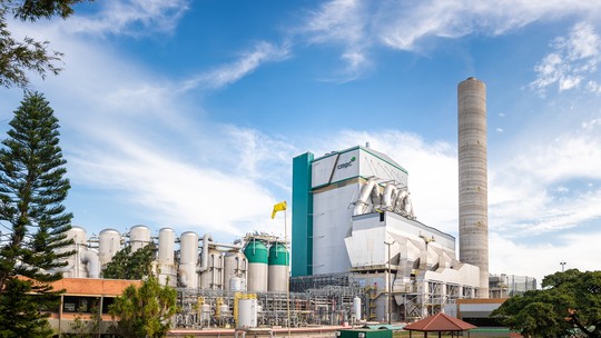 Chilena CMPC está perto de anunciar nova fábrica de celulose no Brasil, dizem fontes