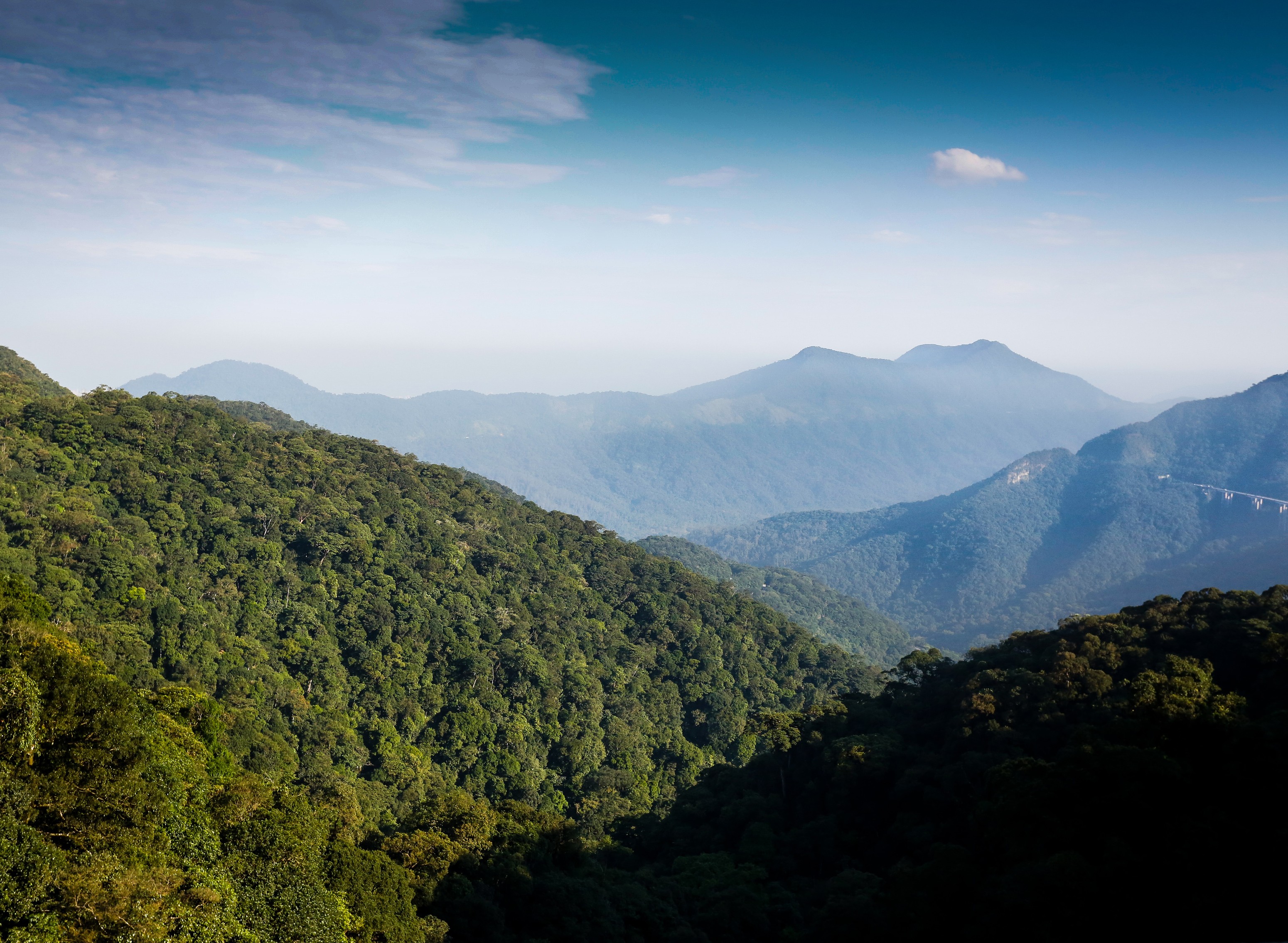 Vale amplia investimento em conservação ambiental no Rio para até R$ 25 milhões