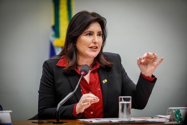Ministra Simone Tebet — Foto: Brenno Carvalho/Agência O Globo