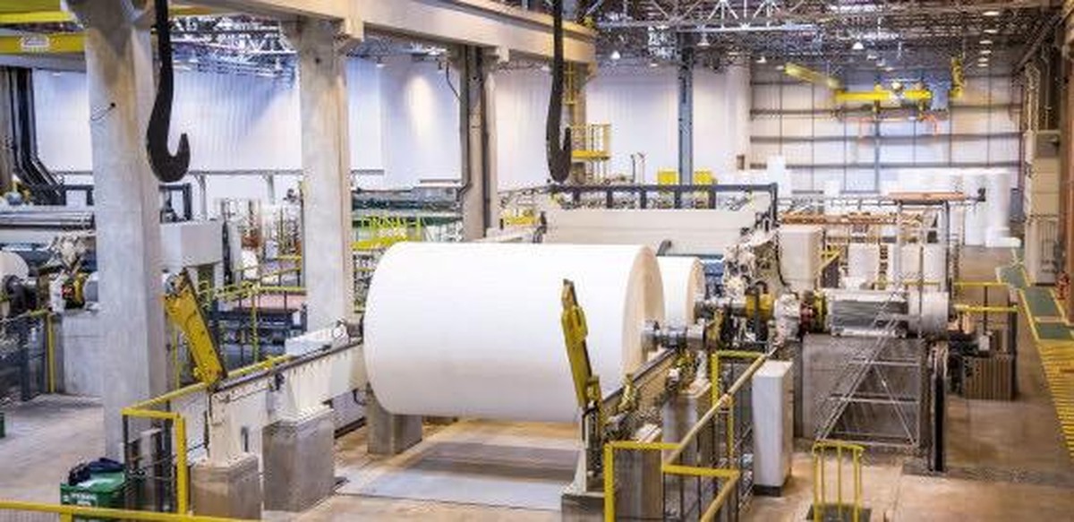 Papel y celulosa: precios en recuperación, pero riesgo cambiario persiste
