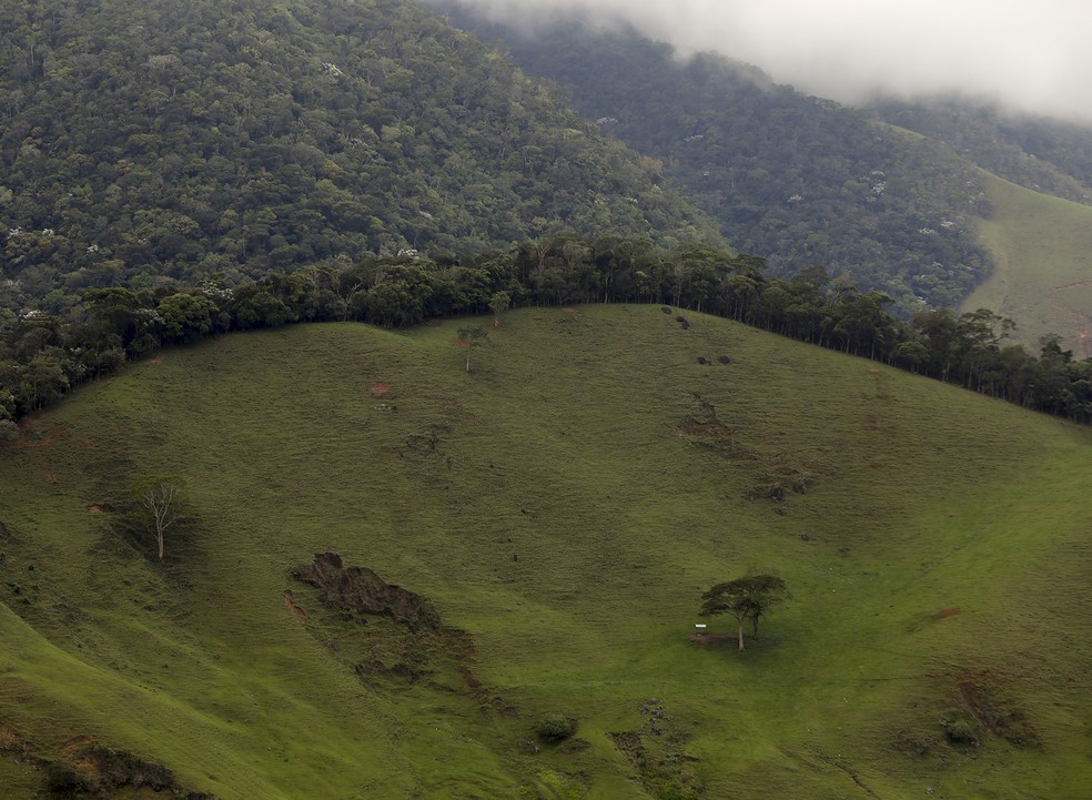  — Foto: Gabriel de Paiva/Agência O Globo