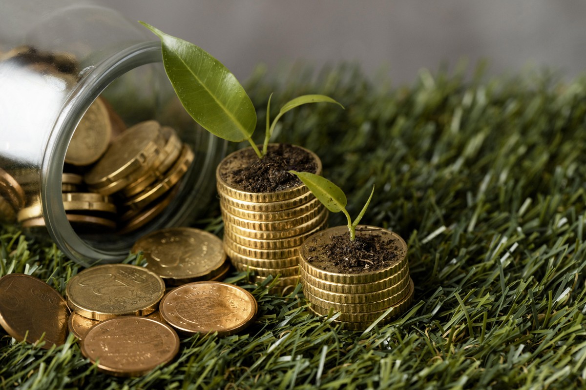 Bancos avançam, mas ainda tiram 'nota baixa' em diretrizes de combate às mudanças climáticas, diz estudo do Idec
